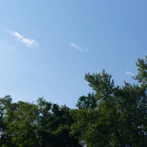 小表妹内射视频在线播放
